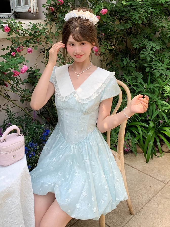 Bubble Blue Peter Pan Collar Basque Waist Allover Butterfly Embroidery Skirt Dress