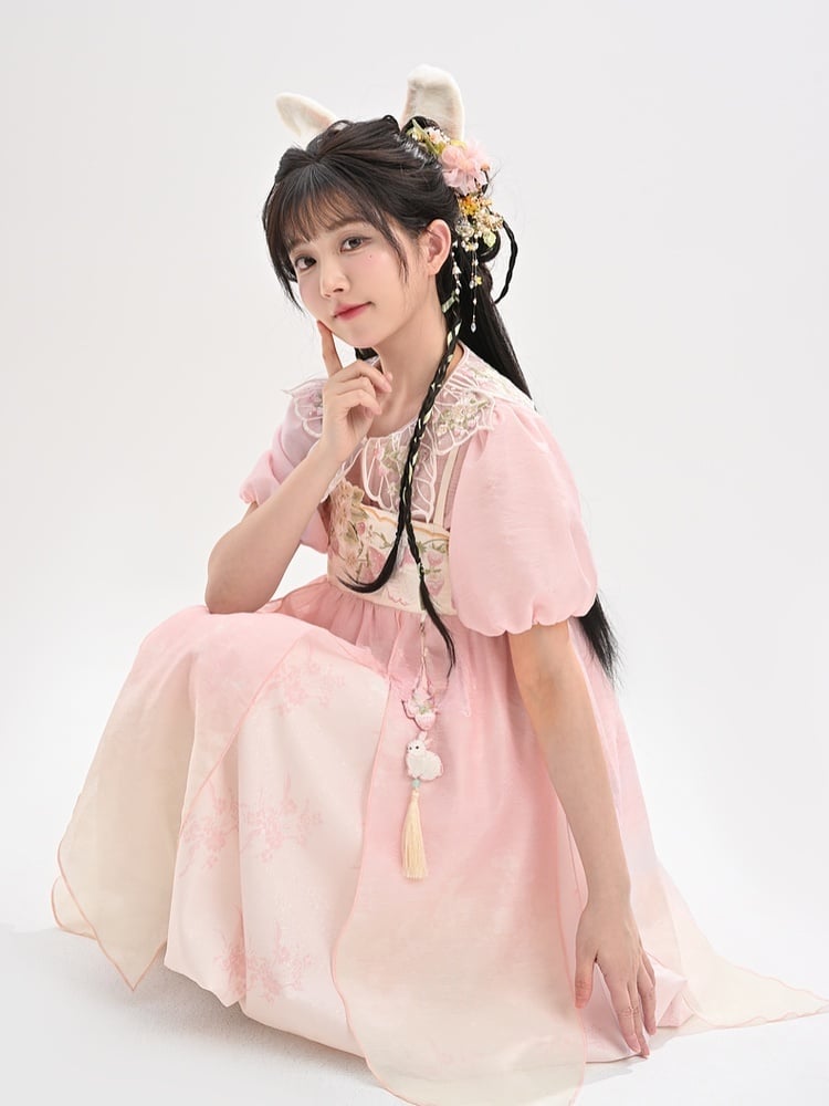 Ombre Style Spaghetti Strap Dress Empire Pink Waist Strawberry Embroidery Cheongsam