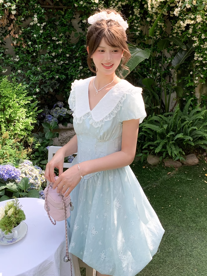 Bubble Blue Peter Pan Collar Basque Waist Allover Butterfly Embroidery Skirt Dress