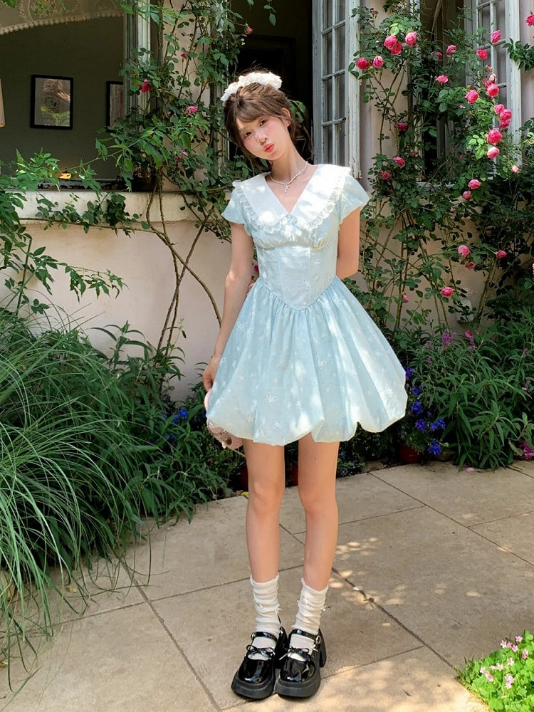 Bubble Blue Peter Pan Collar Basque Waist Allover Butterfly Embroidery Skirt Dress