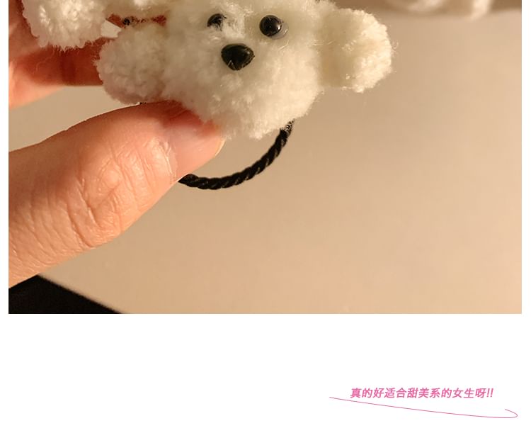 犬用ヘアタイセット