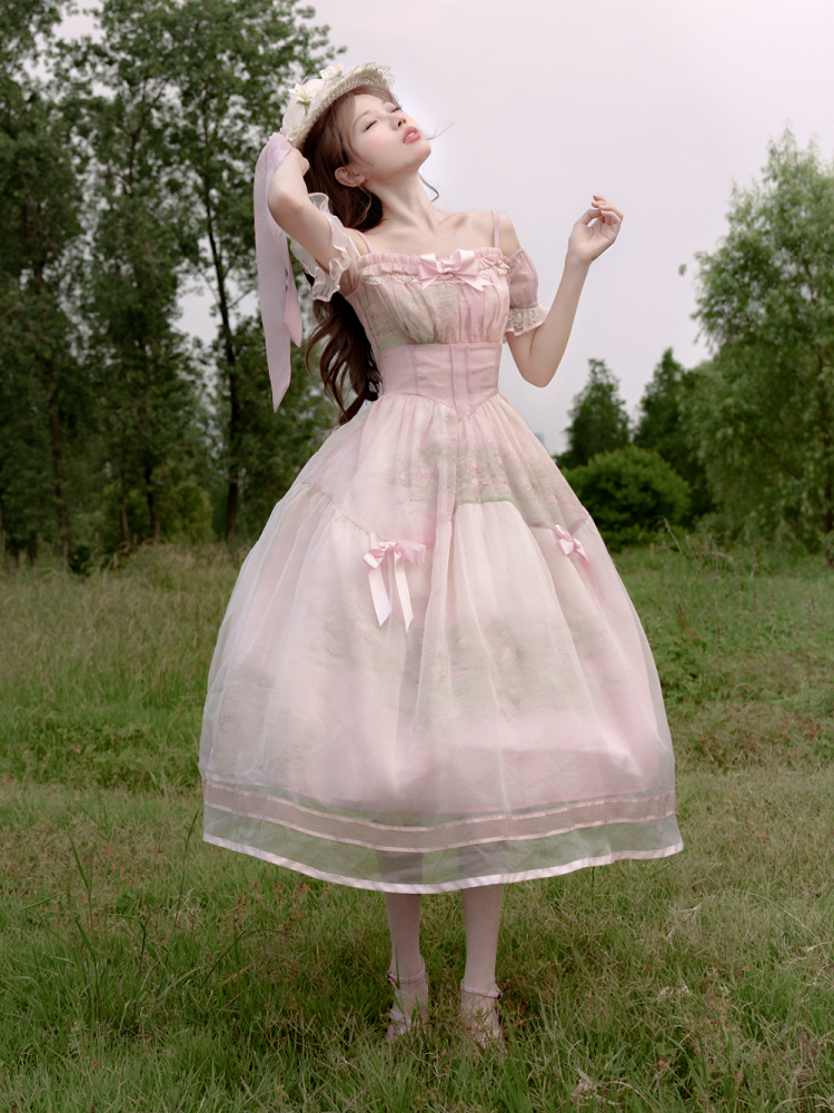 Painting Dress with Organza Overlay Oil Pink Water Lily Print Basque Waist Light