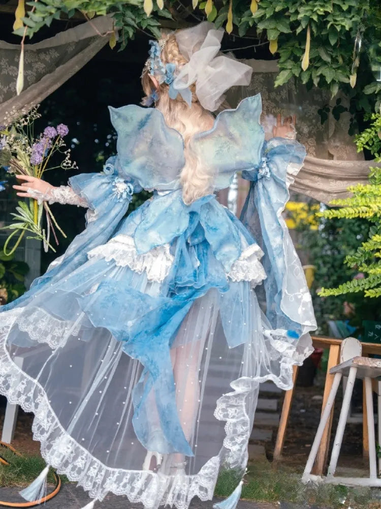 Full Princess Floral Butterfly Set Design Blue JSK Fairycore Lolita Dress