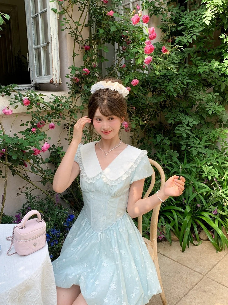 Bubble Blue Peter Pan Collar Basque Waist Allover Butterfly Embroidery Skirt Dress