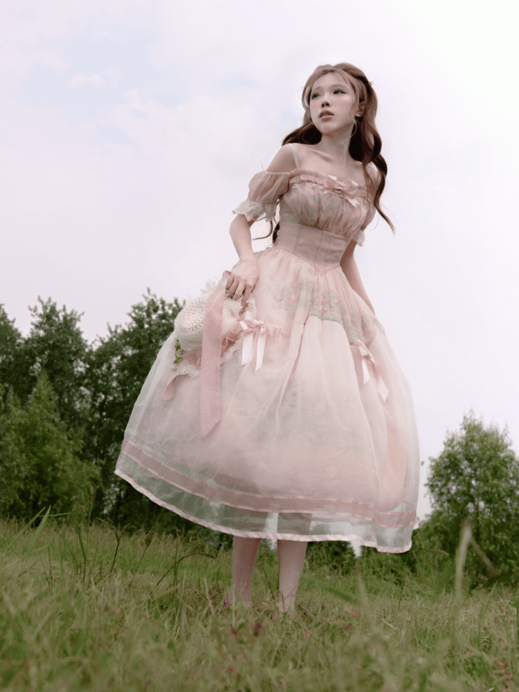 Painting Dress with Organza Overlay Oil Pink Water Lily Print Basque Waist Light