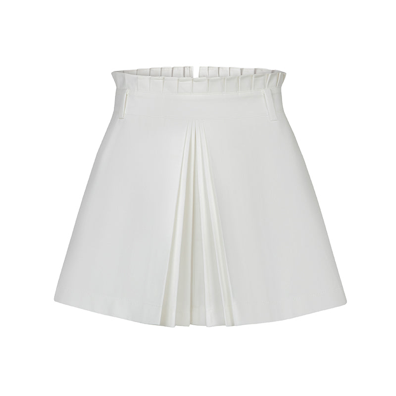 skirt Pleated set-up