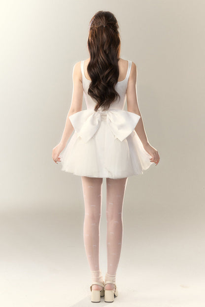Dance Swan Gradient Princess Dress