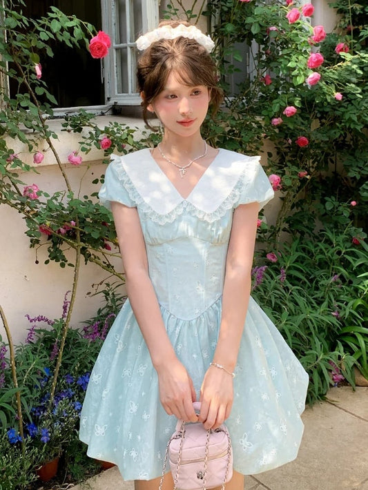 Bubble Blue Peter Pan Collar Basque Waist Allover Butterfly Embroidery Skirt Dress