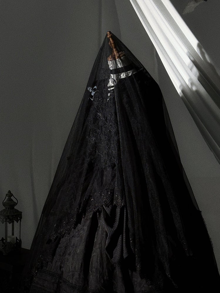 Lolita Lace Floral Embroidered Trim Black/Gray/Brown Veil with