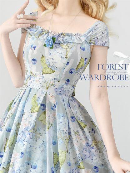 Blueberry and Floral Blue Jumper Skirt Dress